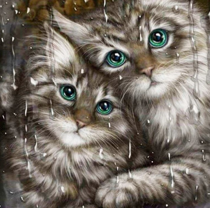 Diamanttavla Cats 40x40