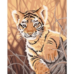 Paint By Numbers Tiger Baby 40x50