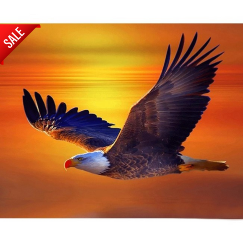 Diamanttavla (R) Sunset Eagle 40x50