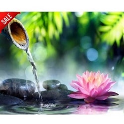 Diamanttavla (R) Lotus Holy Water 40x50
