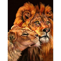 Diamanttavla Lions 40x50 - Lev. v- 26-27