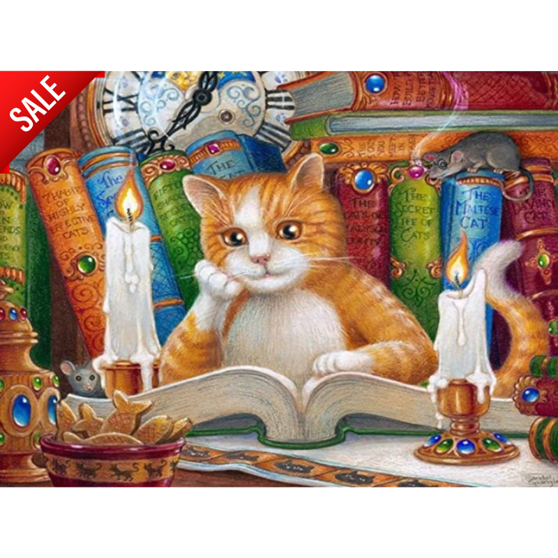 Diamanttavla (R) Cat with Books 40x50