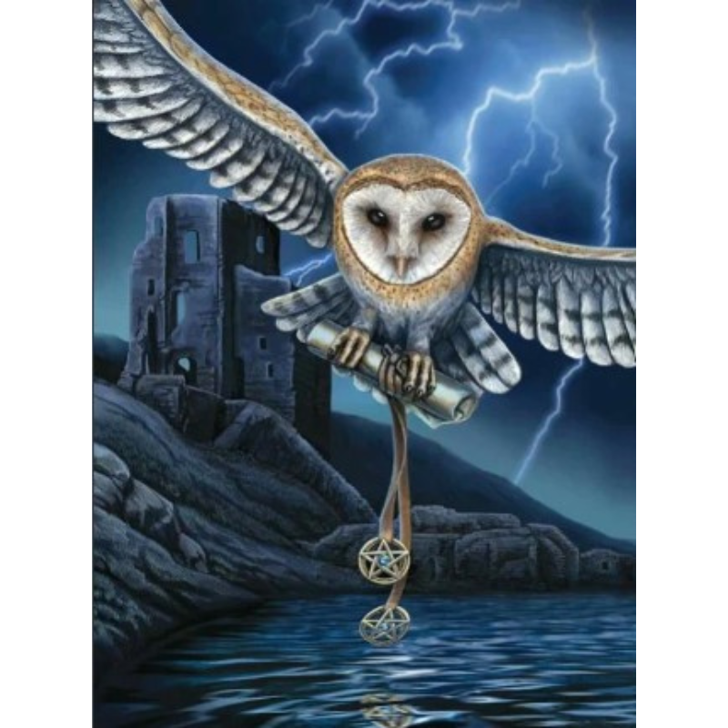 Diamanttavla Owl Magic 40x50