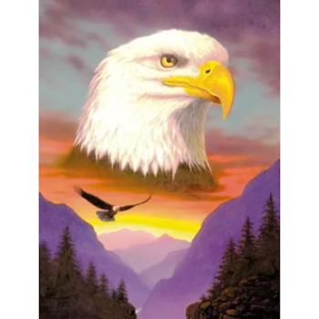 Diamanttavla Eagle Landscape 40x50
