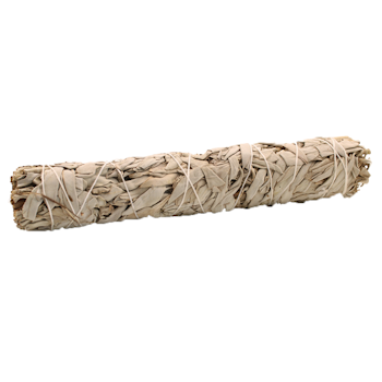 Smudge Stick - Vit Salvia 22,5cm