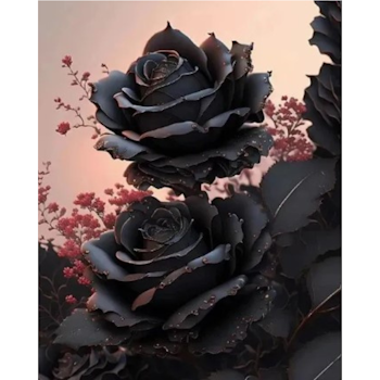 Diamanttavla Black Roses 40x50