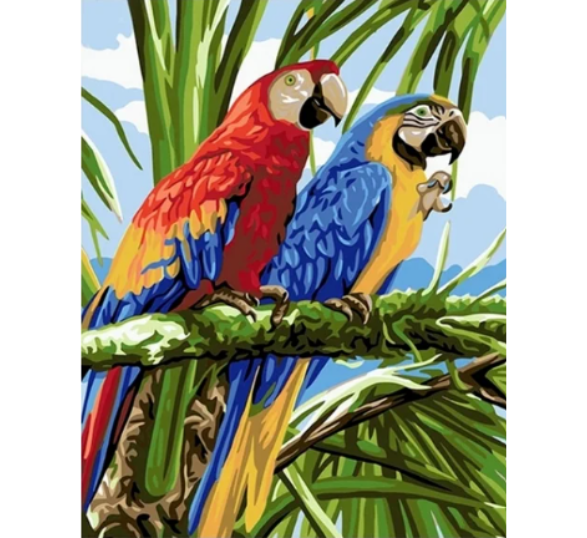 Paint By Numbers Parrots 40x50