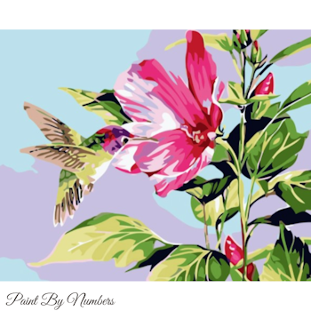 Paint By Numbers Kolibri 40x50