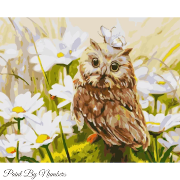 Paint By Numbers Summer Owl 40x50