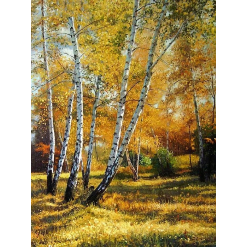 Diamanttavla (R) Höstbjörkar 40x50