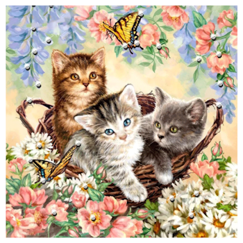 Diamanttavla Flower Kittens 40x40