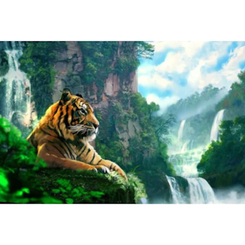 Diamanttavla Mountain Tiger  50x70