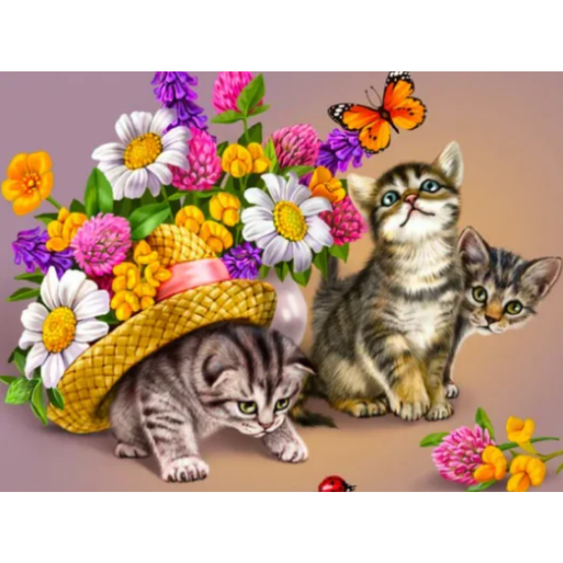 Diamanttavla Kittens Flowerhat 40x50