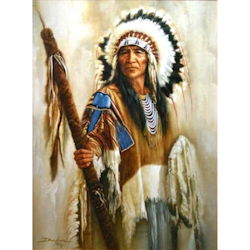 Diamanttavla Native American 40x50