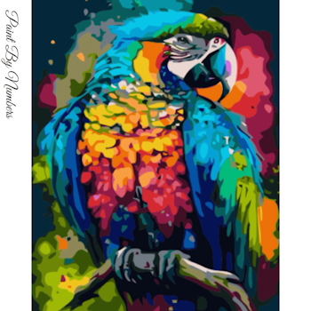 Paint By Number Color Parrot 40x50
