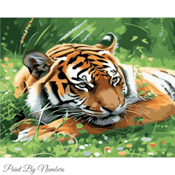 Paint By Numbers Vacker Tiger 40x50