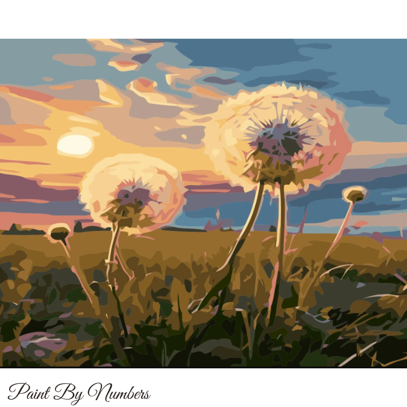 Paint By Numbers Dandelion In Sunset 40x50