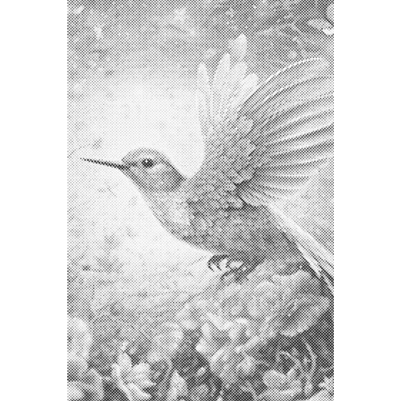 One Color Dot Painting Kolibri 40x60