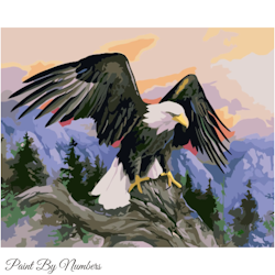 Paint By Numbers Eagle 40x50