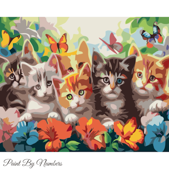 Paint By Numbers Kittens Butterflies 40x50
