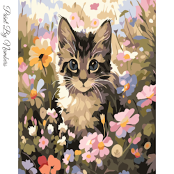 Paint By Numbers Kitten Flowers 40x50