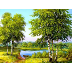 Diamanttavla Björkar Vid Å 40x50