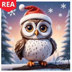 Diamanttavla Christmas Owl 30x30 - REA