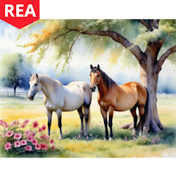 Diamanttavla Hästar I Sommarhage 40x50 - REA