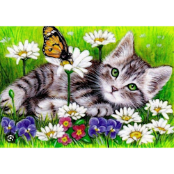 Diamanttavla Katt Och Fjäril Sommaräng 20x30