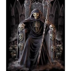 Diamanttavla Skull King 40x50