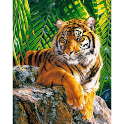 Diamanttavla Tiger 40x50 - Leverans v. 26-27