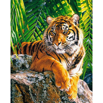 Diamanttavla Tiger 40x50 - Leverans v. 26-27