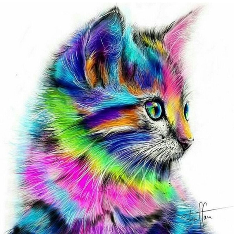 Diamanttavla Colorful Cat 40x40