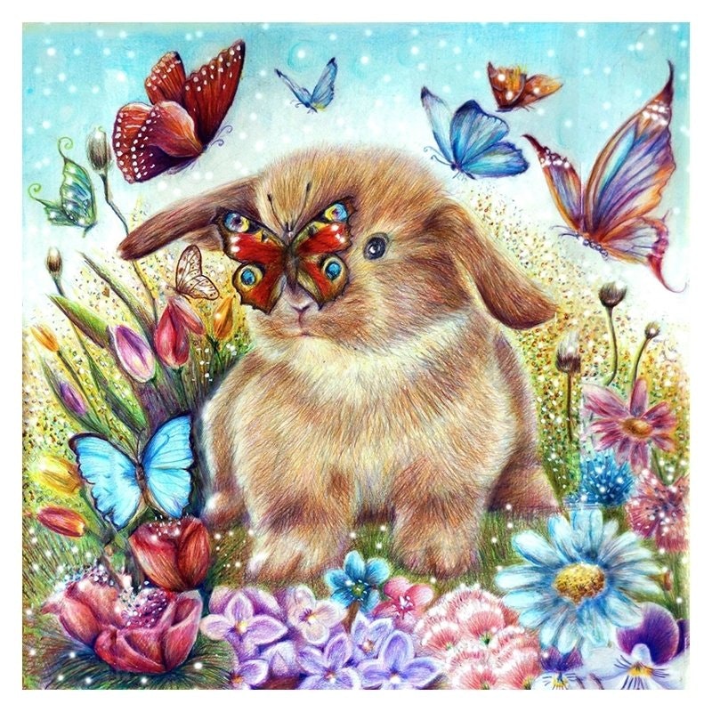 Rabbit And Butterfly 40x40