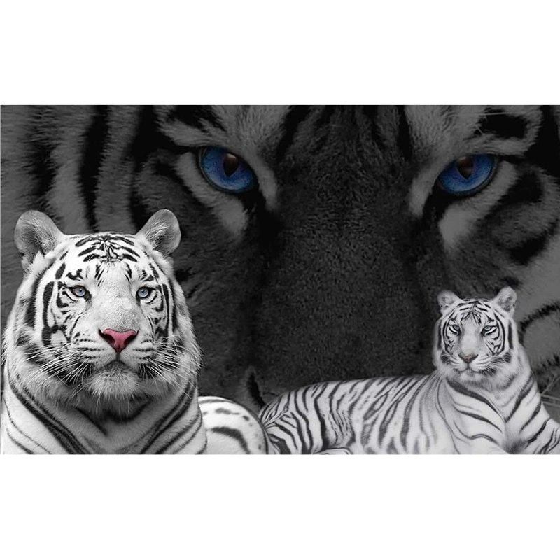 Diamanttavlor tigers black and white. Diamond painting sverige