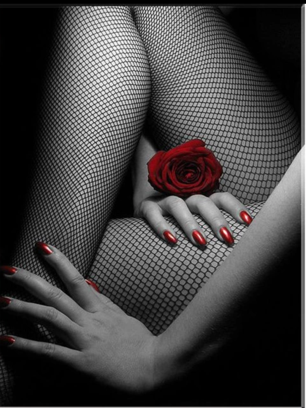 Diamond painting red rose legs. Diamanttavlor.se