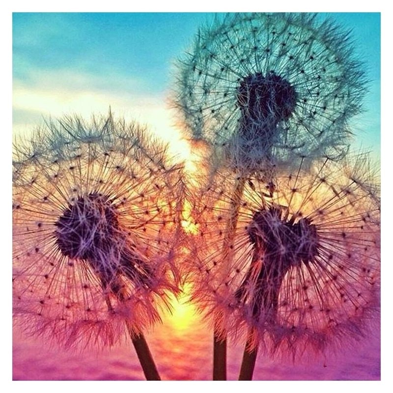 Diamanttavla Colorful Dandelion 40x40