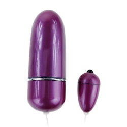 Voice Control Egg