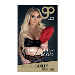 Large Feather Tickler