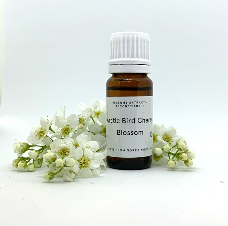 Arctic Bird Cherry Blossom 10 ml