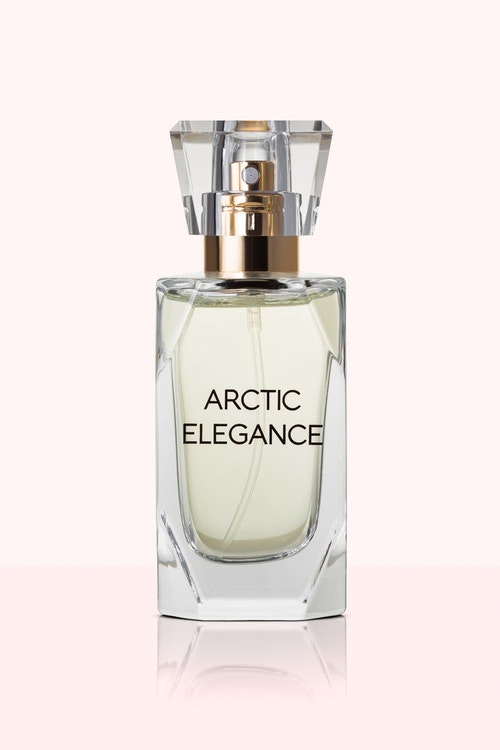 🏆 Arctic Elegance 30 ml WINNER Dampfparfüm