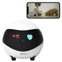 Enabot Ebo SE - Intelligent Companion Robot