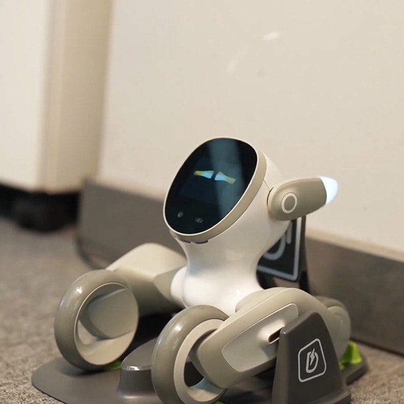 Loona – Interaktiv Smart Robotvän med Röststyrning & Kamera | Styrs via iOS & Android | AI-Husdjur
