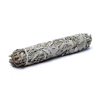 Vit Salvia  XL ca 130-140g - (white californian sage)