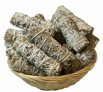 Vit Salvia Storpack 24st i korg (white californian sage)