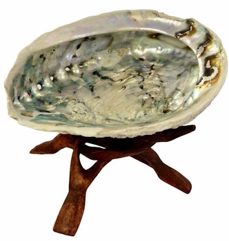 Abalone shell (large) with wooden stand