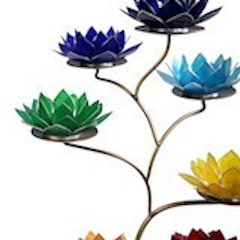Chakra Lotus Display