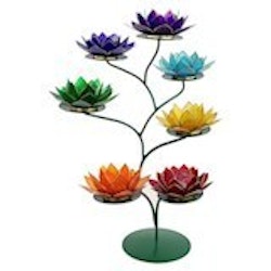 Chakra Lotus Display