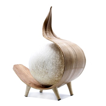 Naturlig Kokoslampa twist