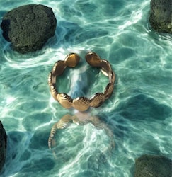 Costal Charm Ring Guld